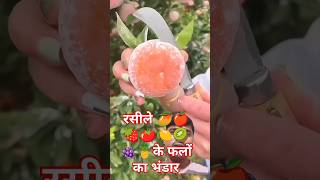 रसीले फलों का भंडार fruts satisfying fruiting fruit fruitcutting friut food friuts plants [upl. by Allare]