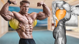 6 Dumbbell Exercises to Get Huge Back Fast [upl. by Nagn]