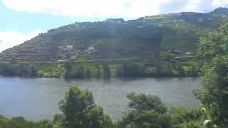 The vineyards of the Douro Valley from the train [upl. by Sholeen]