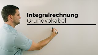 Integralrechnung Grundvokabel Hauptsatz Flächenberechnung  Mathe by Daniel Jung [upl. by Schaab345]