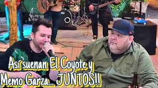 Palomazo El Coyote y Memo Garza cantando corridos [upl. by Anikahs462]