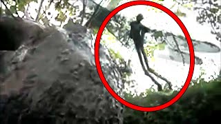 5 Mysterious Creatures Caught on Camera [upl. by Anaeli]