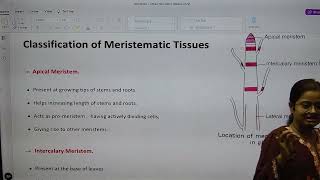 TYPES OF MERISTEMATIC TISSUE I 9TH I BIOLOGU I TISSUE [upl. by Vitkun203]