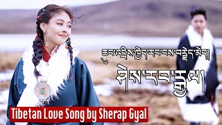 New Tibetan Song 2023 ཆུང་འདྲིས་ཁྱེད་རང་ངེས་ངེས་བརྗེད་མེད་རེད། Sherap Gyal [upl. by Nomla]