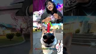 Do you like dogs Then give like to this song🔥 Viral song jedagjedug zachz winner [upl. by Dusty632]