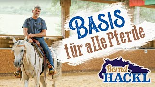 Die Basis für alle Pferde  Bernd Hackl erklärt 🐴 [upl. by Potter]