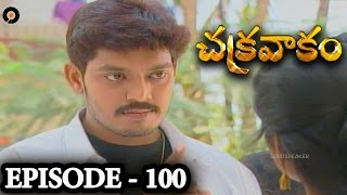 Episode 100  Chakravakam Telugu Daily Serial [upl. by Barry]