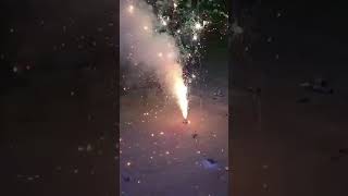 Diwali Celebration🪔🧨 Happy Diwali shortvideo diwalirangoli diwali2024 shortvideo [upl. by Atenahs]