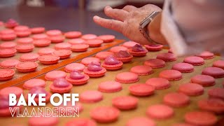 De perfecte macarons  Bake Off Masterclass [upl. by Imis282]