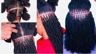 How to micro twist with curly hair minitwist microtwists twist twostrandtwist [upl. by Deth515]