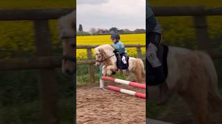 The littlest pony jumping ever horse showjumping horselover pony horseriding equestrian [upl. by Asylla328]