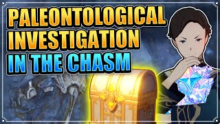 Paleontological Investigation in The Chasm ALL 5 Strange Rock Locations Genshin Impact World Quest [upl. by Selwin]