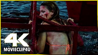 The Shallows 2016  Impaled  MᴏᴠɪᴇCʟɪᴘ4ᴜ 〚HD〛 [upl. by Merideth]