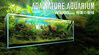 ADAview W1800mm Nature Aquarium Layout Tree Spirit Sanctuary【ENJP Sub】 [upl. by Suoivatra902]