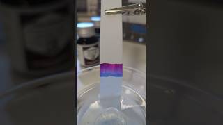 Ink Chromatography Time Lapse  De Atramentis Lilac fountainpen fountainpenink [upl. by Merow162]