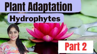 HYDROPHYTES PLANT ADAPTATION  ECOLOGICAL ADAPTATIONS biology csirnet neet [upl. by Garibald]