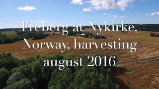 13 Harvesting at Freberg farm Norway [upl. by Lilia438]