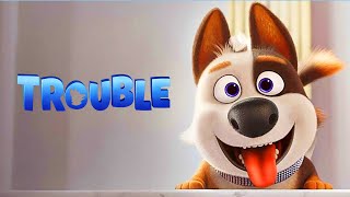 TROUBLE 2019  A DOGS BORN FROM LUXURY LEARNS TO ACTUALLY LIVE LIFE [upl. by Aivan]