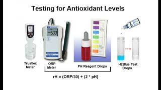 Best Water Ionizer Comparisons [upl. by Millman705]