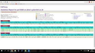 Lab 30 HAProxy Setup  High Availability Tomcat Service on CentOS 7 [upl. by Hanahsuar627]