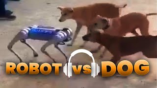 robot vs dog memes [upl. by Wallache]