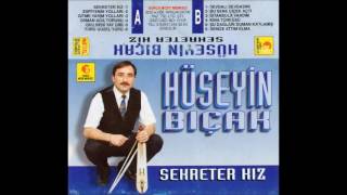 Hüseyin BIÇAK Kına Türküsü [upl. by Qidas]