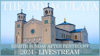 Eighth Sunday after Pentecost  The Immaculata [upl. by Dira487]