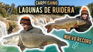 CARPFISHING LAGUNAS DE RUIDERA Récord de Barbo Comizo [upl. by Fishbein]