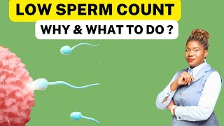 13 Ways To Boost Low Sperm Count Naturally  Oligospermia Treatment [upl. by Gnot]