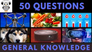 General Knowledge Quiz Trivia 158  Belgium Landmark Diet Blood Type Fox Hybrid Vacuum Cleaner [upl. by Loretta378]