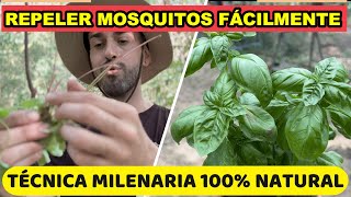 Como REPELER Mosquitos En 1 MINUTO🦟 Técnica de Supervivencia [upl. by Hannibal]