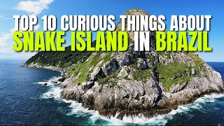 Top 10 Curious Things About Snake Island In Brazil [upl. by Janeta]