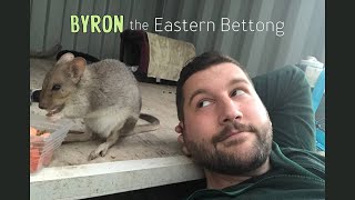 Byron the Eastern Bettong  WILDLIFE RELEASE [upl. by Tamara]