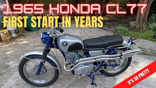 Honda CL77305 Scrambler First Start In Years cl77 305scrambler honda305 [upl. by Haiasi]