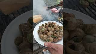 Cargolade Au feu de boisescargots au barbecue [upl. by Semyaj578]