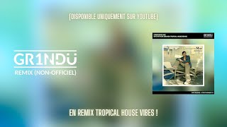 Christophe Maé  On Sattache GR1NDU Tropical House Remix [upl. by Alekram729]