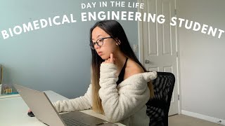 Should YOU study Biomedical Engineering What is Biomedical Engineering [upl. by Yer]