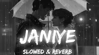 Janiye  Music Lyrics  Chor Nikal Ke Bhaga  Vishal Mishra Rashmeet Kaur SLOWED  REVERB [upl. by Leuams]