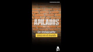 Apilados un concepto que surge por parte de dos egresados de Gastronomía y Cocina Profesional [upl. by Ramal]