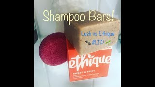 Shampoo Bar Review Lush vs Ethique [upl. by Dimphia]