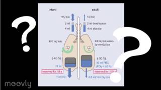 Anestesia General Pediatrica [upl. by Annawd874]