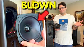 How I Fixed My Blown GoldenEar Towers Speakers  Blown speaker replacement [upl. by Eenehs684]