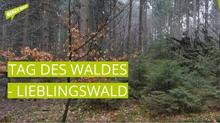 Lieblingswald am Tag des Waldes [upl. by Raimes]