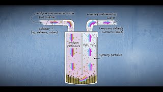 Sterisil Complies with Amalgam Separators [upl. by Madeleine]