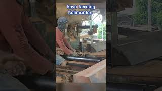 kayu keruing Kalimantan indonesianwood bandsaw woodworking [upl. by Sigismund]