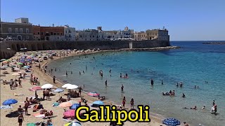 Gallipoli Puglia Italy 🇮🇹 2024 [upl. by Valleau]