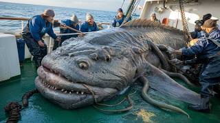 Unbelievable Sea Monsters You Wont Believe Exist [upl. by Genna265]