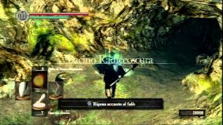 Dark souls Farming scaglie di drago [upl. by Arayk133]