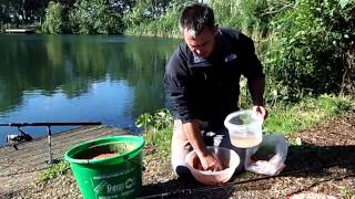 Versatile bird food baits for carp fishing [upl. by Celeste]