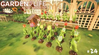 Garden Life 24 🌹 Endlich die rosa Tulpe letsplay deutsch [upl. by Powder]